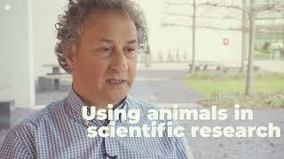 Openness Initiatives in Animal Research