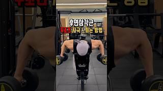 후면삼각근 무조건 자극 느끼는 방법!!