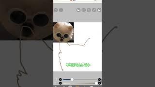 참깨들깨 귀여운 강아지 그림 #인형계소리 #토카보카음원 #브이로그 #인형계asmr