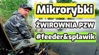 [#7] KLASYCZNY FEEDER i...zabawa spławikiem. Żwirownia Raduszec Stary