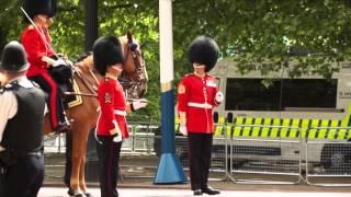 TROOPING the Colour