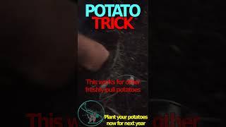 Potato trick #riverbearaquaponics #organicgrowing #garden