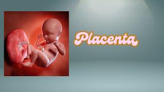 PLACENTA