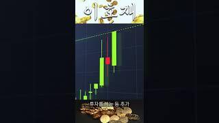 시바이누!!!! 비트코인
