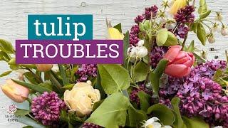 Tulips are Lame... I Said It.