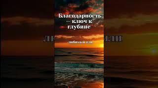 Давид Штейндел Раст  Почему важна благодарность.     #осознанность  #вдохновение  #размышления