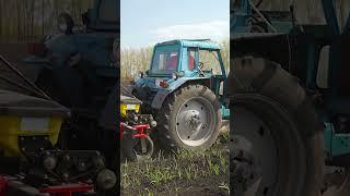 ЧЕСНОК ОДНОЗУБКА! КАК ЕГО ВЫРАСТИТЬ?  #агротехнологии #farming #сельскоехозяйство #купитьтехнику
