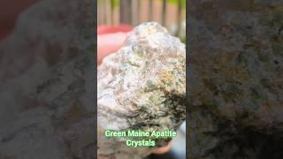 Green Maine Apatite Crystals in natural rock-matrix's.#rocks #rockhounding ##crystals #minerals #fyp