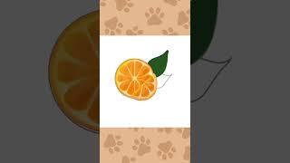 Orange time-lapse!
