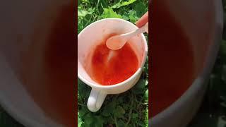 Making natural red paint with fresh strawberry in the garden #hanselah #naturalpaint #cottagecore