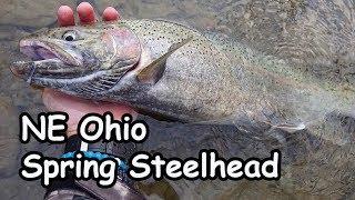 Fly Fishing Ohio's Spring Steelhead Run