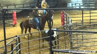 Forget The Luck - Super honest gelding cutting - Valley View Ranch