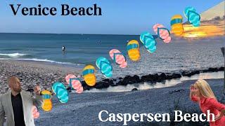 Discover Ancient Shark Teeth at Stunning Venice & Caspersen Beach, FL! 