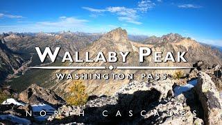 Wallaby Peak - Washington State