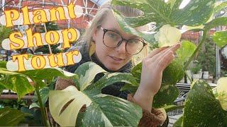 RARE Plant Shop Tour! Let's Go Plant Shopping  Trending Indoor Houseplants 