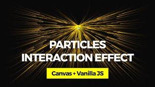 Particles Interaction Effect. Canvas + Vanilla JS