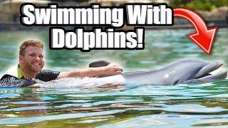 Swimming With DOLPHINS At Discovery Cove!