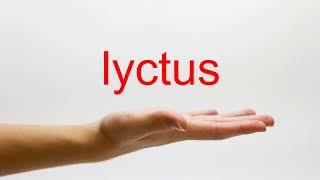 How to Pronounce lyctus - American English