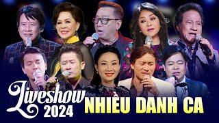 Liveshow Tuyển Chọn 2024 HỘI TỤ NHIỀU DANH CA GẠO CỘI - Đêm Nhạc Đáng Xem Nhất