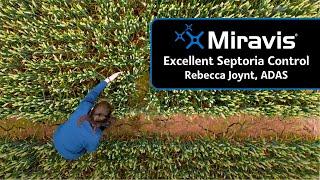 MIRAVIS®: Excellent Septoria Control