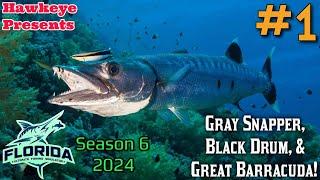 Ultimate Fishing Simulator S6 #1 - Florida DLC: Gray Snapper, Black Drum, & Great Barracuda!