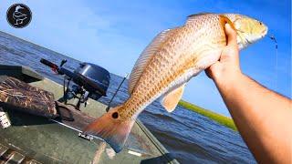 LOUISIANA Salt Marsh Fishing (Redfish and Trout)