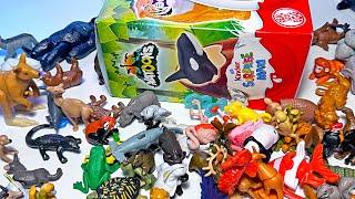 New Kinder Sea Animals & Wild Animals - Orca, Dolphin, Whale, Seal, Hammerhead Shark, Kangaroo, Lion