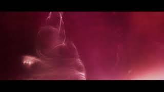 Pantha du Prince - Silentium Larix (Official Video)