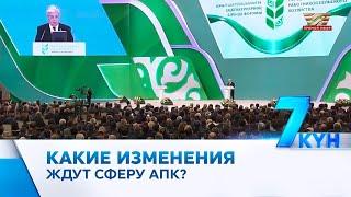 Казахстану нужно заниматься разведением чистокровных лошадей – Президент