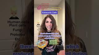 Eukaryotic cells eukaryotes in 1 minute #biology #microbiology #exam research #exam #review