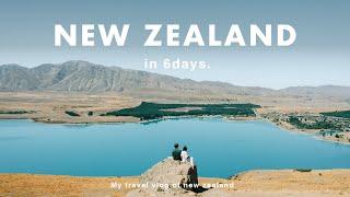 [New Zealand Travel Vlog] World's Smallest Dolphin, the Most Beautiful Starry Sky⭐️ Lake Tekapo