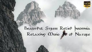 Beautiful Stress Relief Insomnia Relaxing Music of Nature