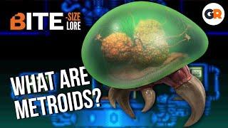 What Are Metroids? - Bite-Size Lore