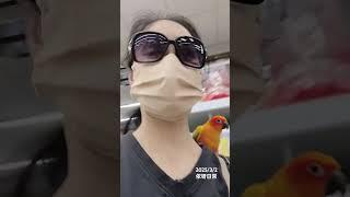 跟著去五金行［2025/3/2依呀日常］ #紀錄的美好 #金太陽 #parrot