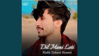 Dil Namanni Mani