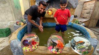 First Time Bht Sari New Fishes Le Kr Ae 