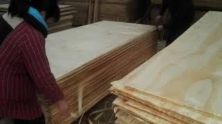 Wood based Panels Plywood inspection,sourcing ,quality control,inspection ,manufacturing consultant.