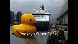 Pookey's Super Ducky