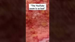 "the YouTube zoom is so bad#vanshika#zoom #shorts