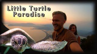 Turkey Dalyan Travel | Iztuzu Turtle Beach | Turkey Travel Vlog