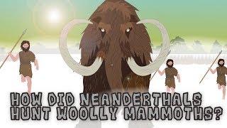 How did Neanderthals Hunt Woolly Mammoths?