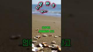 인생을 바꾸는 말의 힘입니다