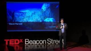 Want to get ahead? Go to Sleep: David Randall at TEDxBeaconStreet