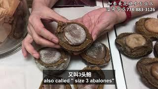 贺年南非三头大鲍鱼泡发及焖煮—【Maybel话你知】size 3 Abalones soaking method