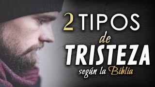 2 Tipos de tristeza.