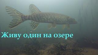 Один на озере. Сложилась палатка, ремонт мотособаки,попал в слуз. Жерлицы на щуку.