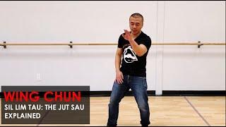 Sil Lim Tau: The Jut Sau Explained -  Wing Chun, Kung Fu Report - Adam Chan