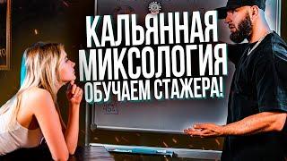 HT №231. Как правильно миксовать табаки?! Обучаем стажера от А до Я!