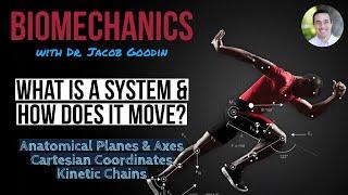 Biomechanics: What is a System & How Does It Move? Part 1