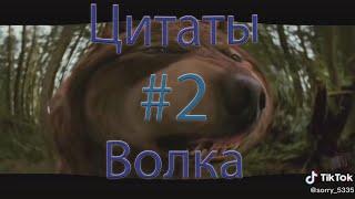 Мудрость волка | Цитаты волка | Рекомендации тикток | #2